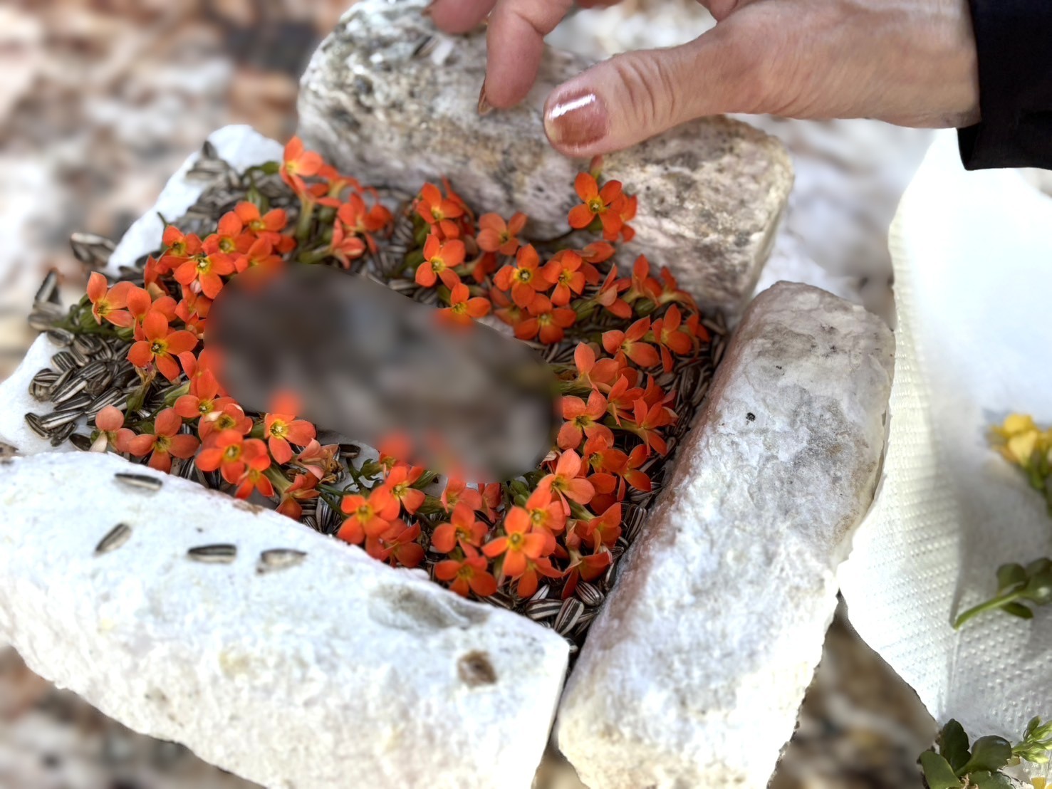 ご子息様から預かり一緒に過ごしたハムスターちゃんをお見送りしました